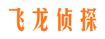 新龙市私家调查